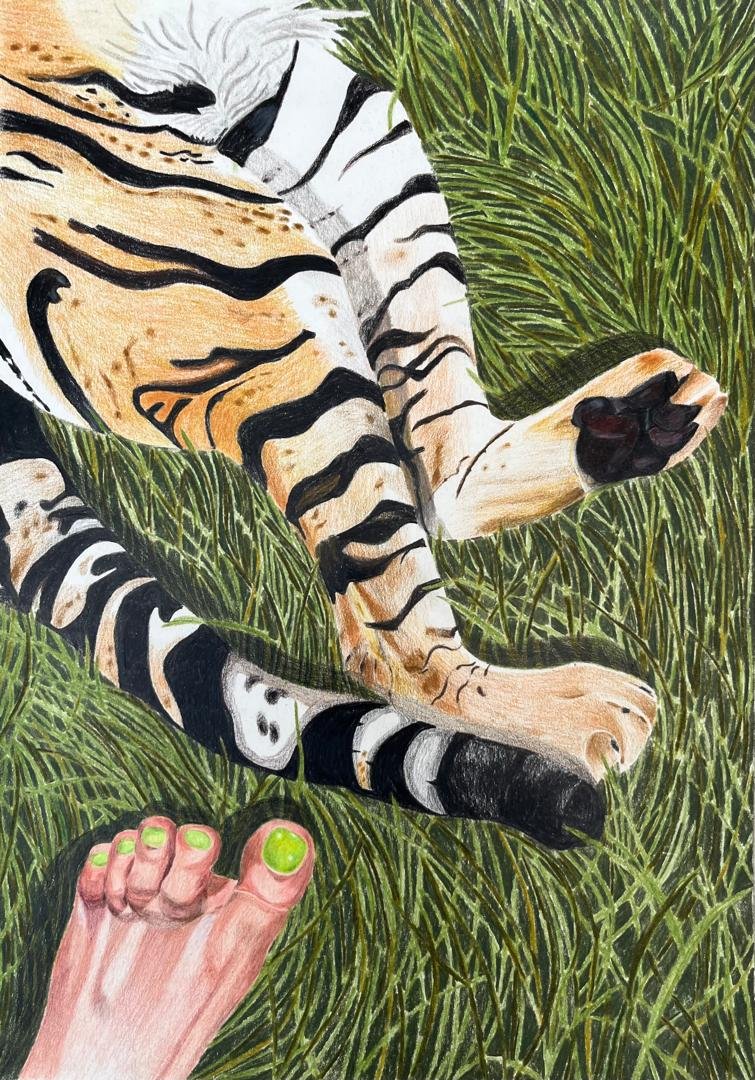 Delaram Zakeri, Stepping on Tiger's Tail, 2026