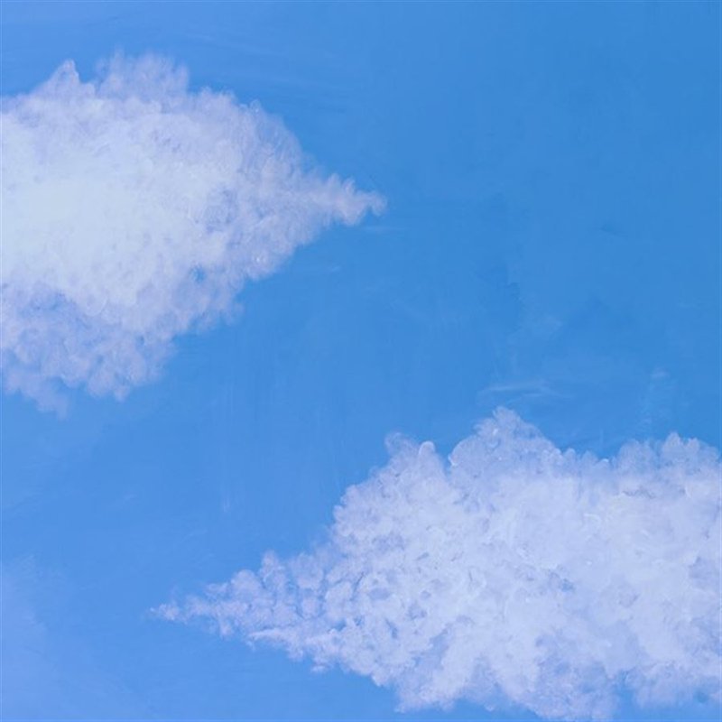 Ecstatic Canopy of Skies