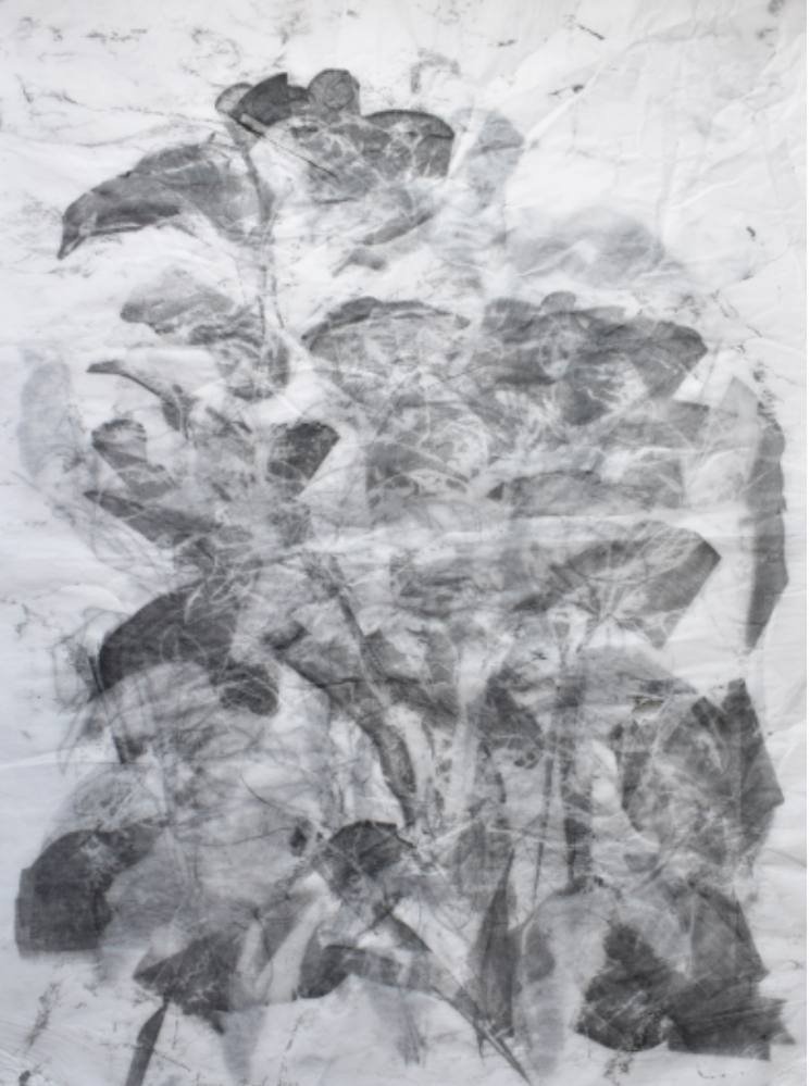 Sima Bagherzadeh, Untitled, 2024