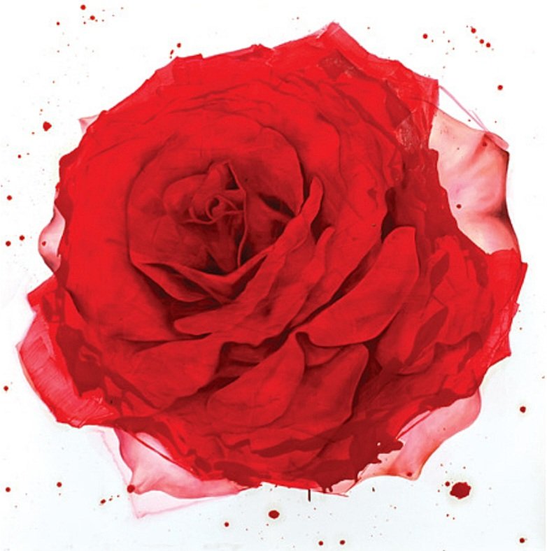 Azadeh Razaghdoost, Untitled, 2022