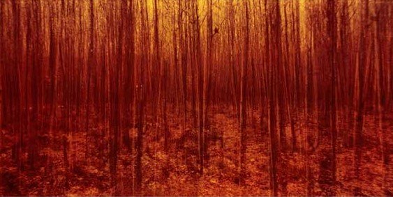 Amirhossein Biparva, Untitled, 2015