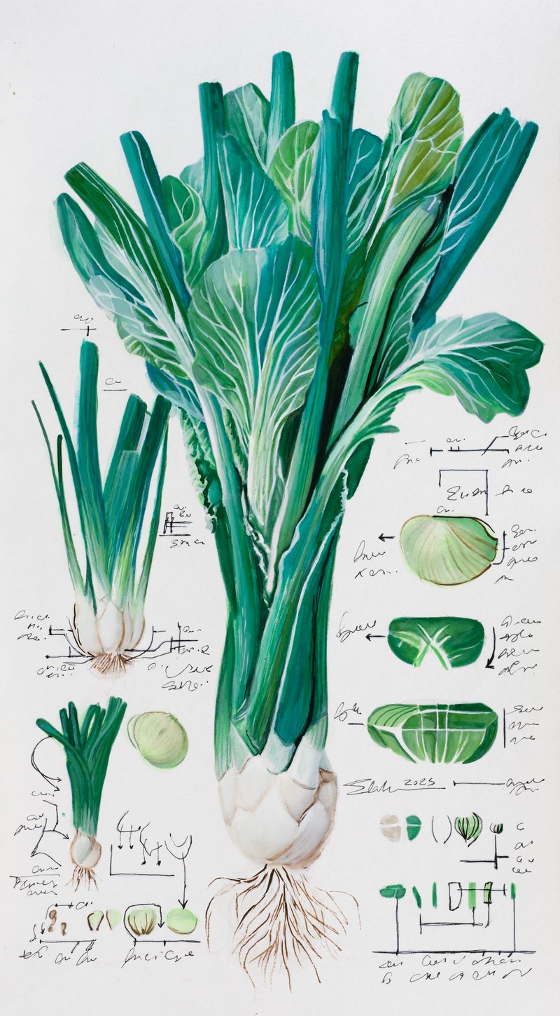 Elaheh Ramezani, Studying Specimen, Sorted, Serialized: Spring Onion, 2025