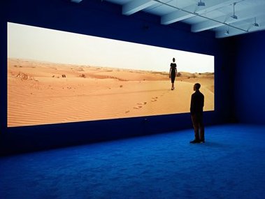 Installation view.