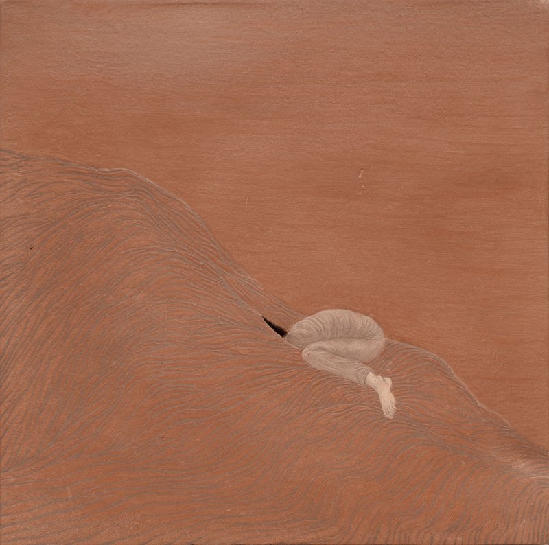 Roksana Pirouzmand, Untitled