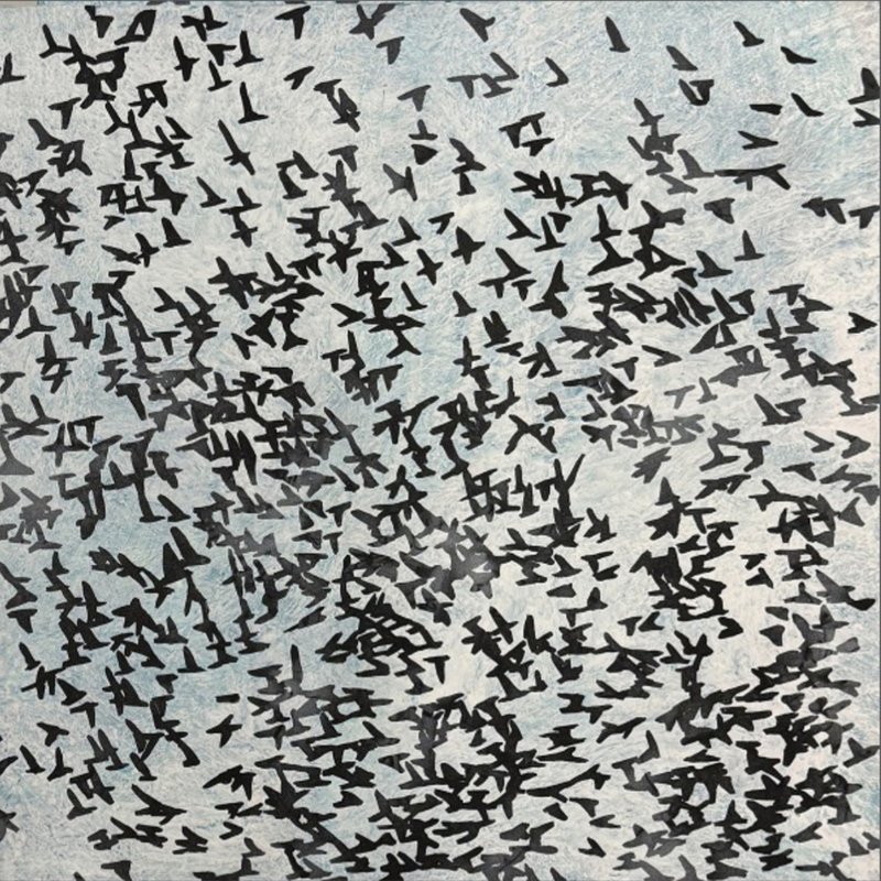 Safa Amirmoghadam, Untitled