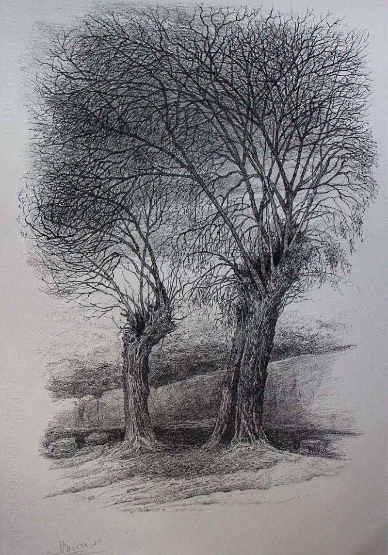 Afsaneh Masaeli, Untitled