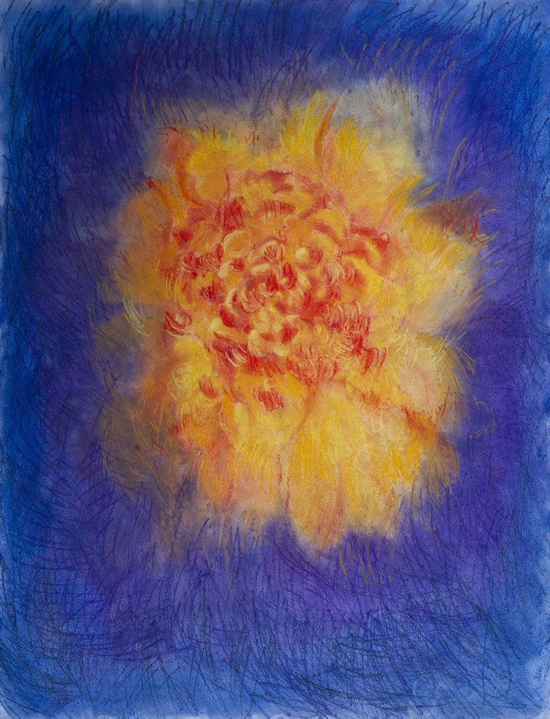 Shahrzad Jahan, A Peony Glowing in my Eyes, 2021