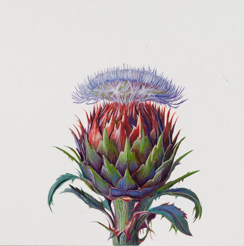 Elaheh Ramezani, The Liminal Arboretum: Thorns and Vapors, 2025