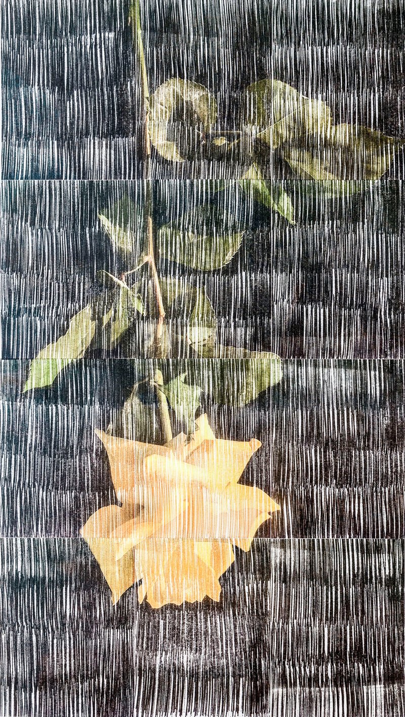 Sasan Abri, Untitled, 2020