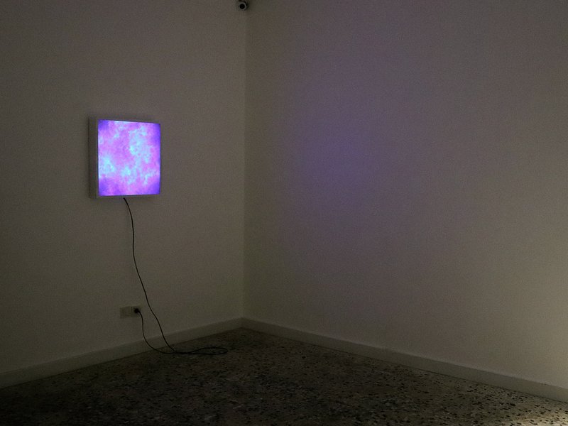 Rain Hunters, installation view