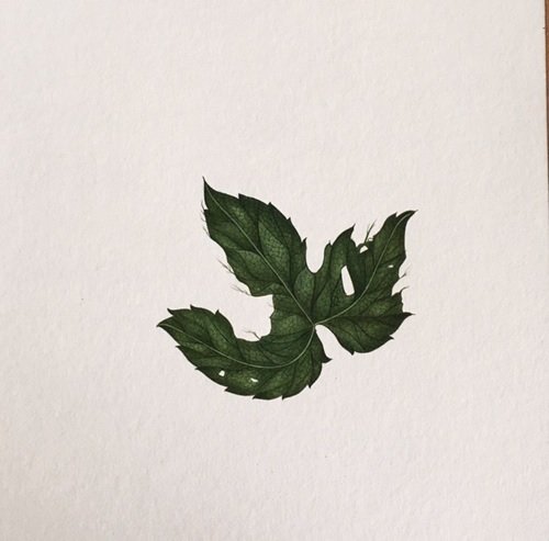 Maryam Baniasadi, Untitled, 2019