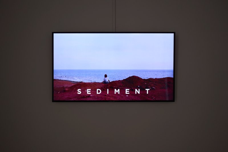 Vida Kashani, Sediment, 2019
