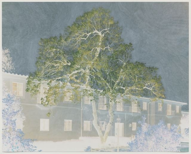 Tacita Dean, Study for Purgatory (2nd Cornice), 2020