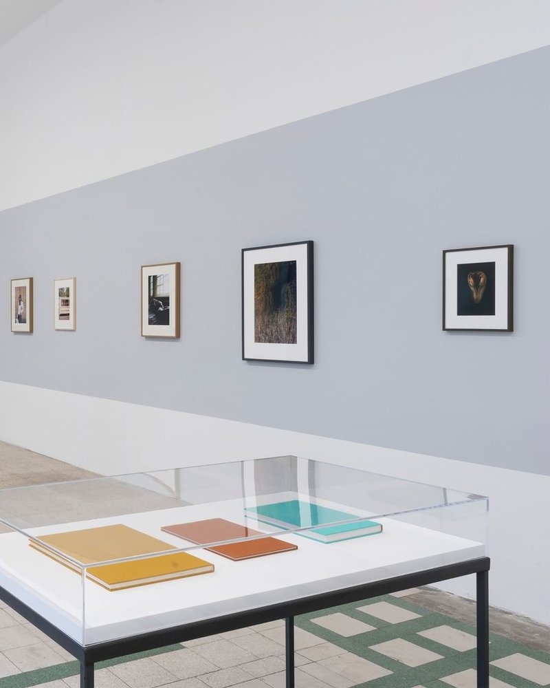 pools and voids, installation view