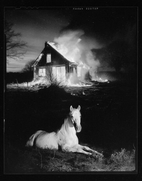 Pauline Guilmoth, Untitled, 2024