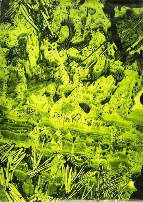 Laleh Khorramian, Vegetation, 2016