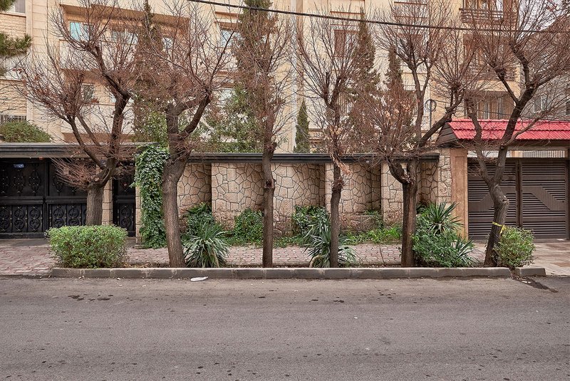 Alireza Fani, Untitled, 2016