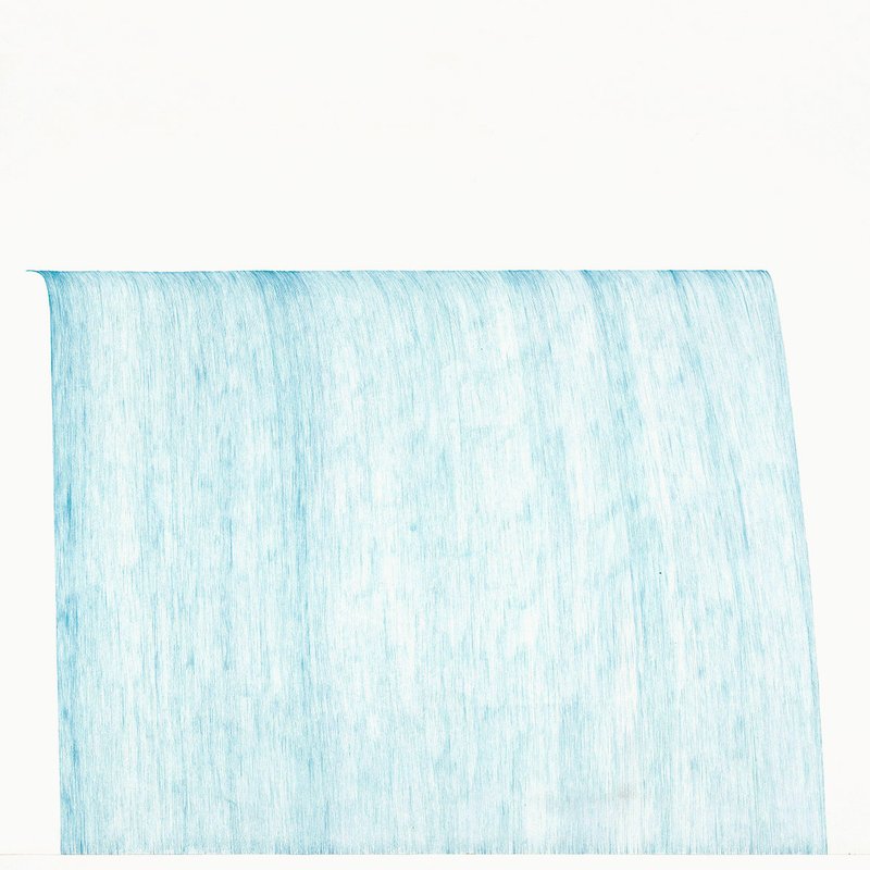 Leila Mirzakhani, ٌWaterfall, 2017