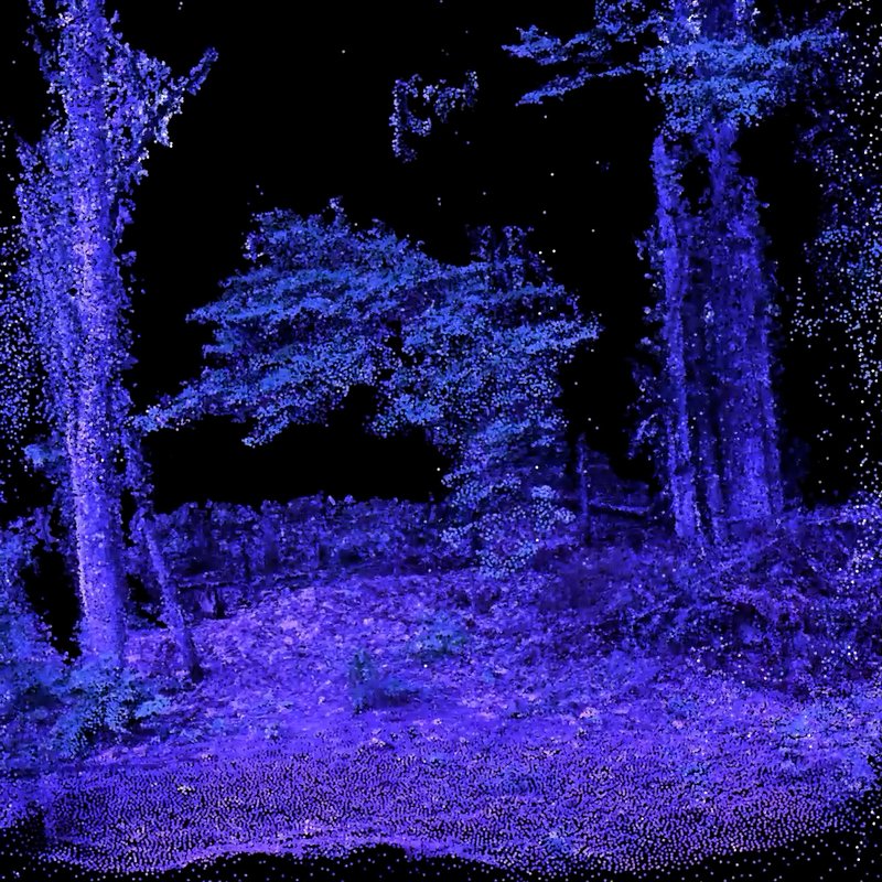Ali Phi, Agnosia-3, 2021
