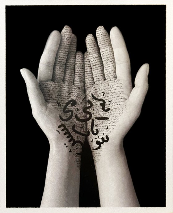Shirin Neshat, Offerings, 2019