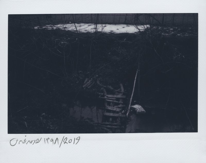 Mehrdad Afsari, Past Indefinite Tense, 2019