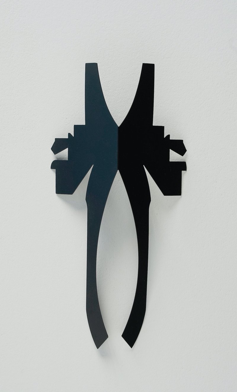 Timo Nasseri, The Order of Everything