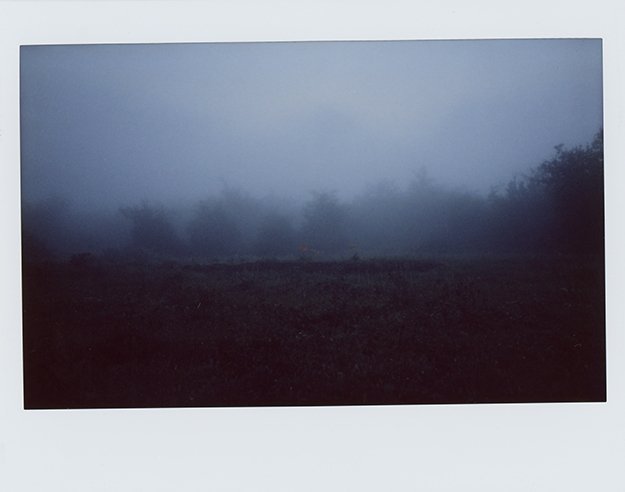 Mehrdad Afsari, Untitled, 2019