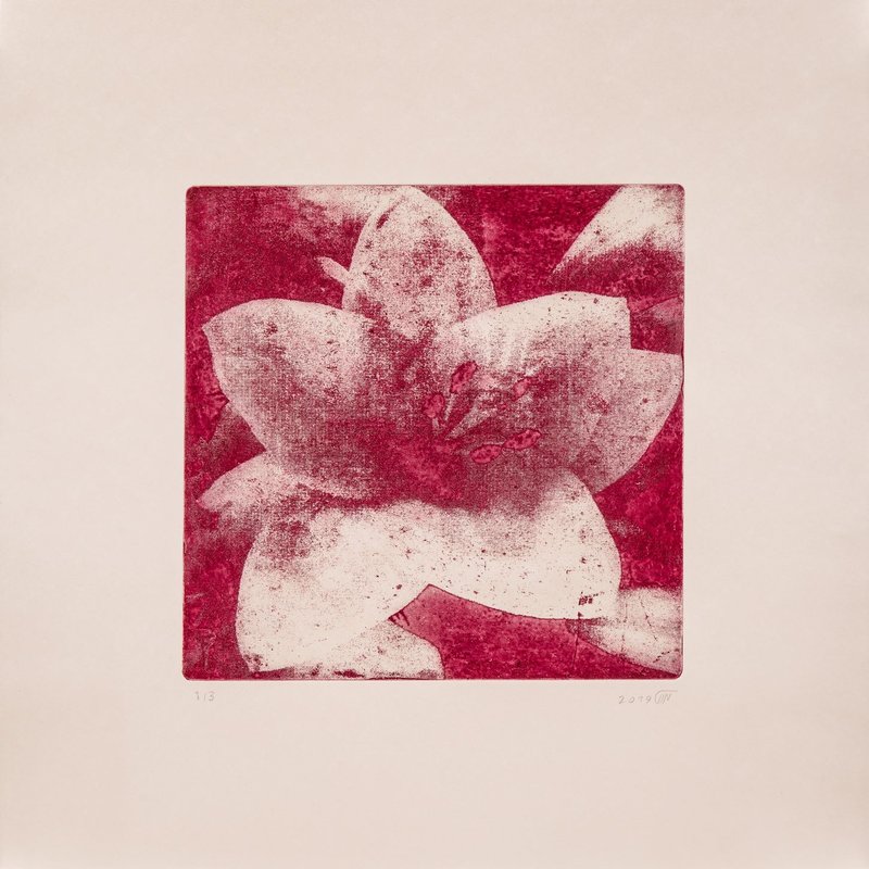 Kazhal Fakhri, Untitled, 2019
