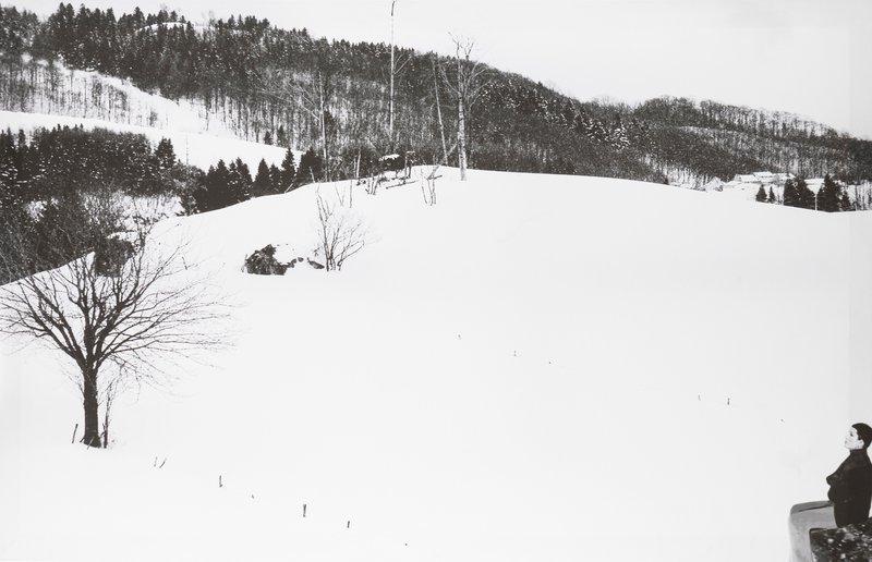 Abbas Gharib, Snow and Nature Composition, 2012