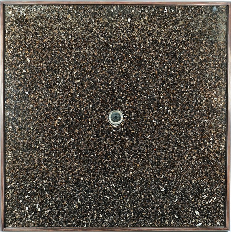 Hamid Fateh, Destroyed Crows, 2019