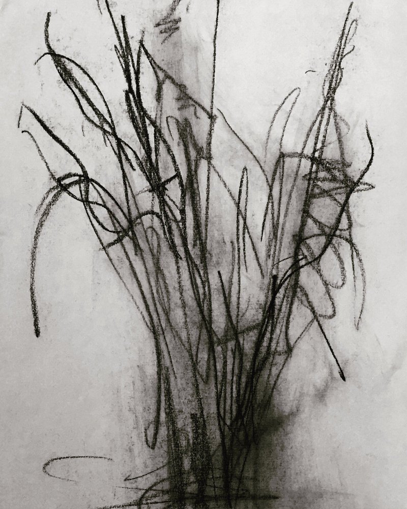 Parisa Shabani, Untitled, 2020