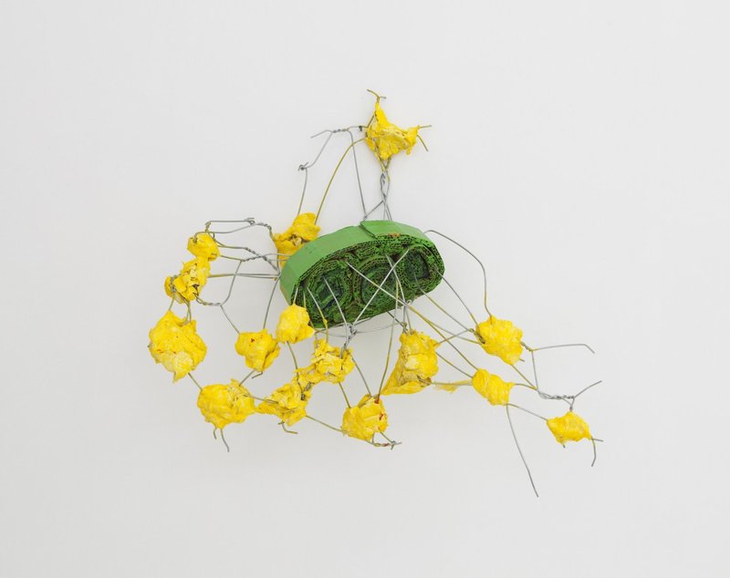Hassan Sharif, Insect, 2015