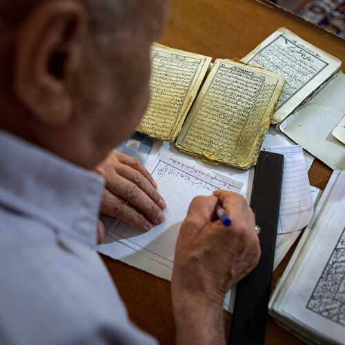 آیدین باقری، بدون عنوان