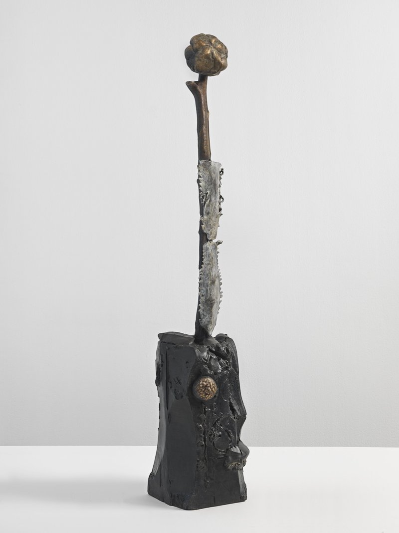 Ali Banisadr, Anima, 2025