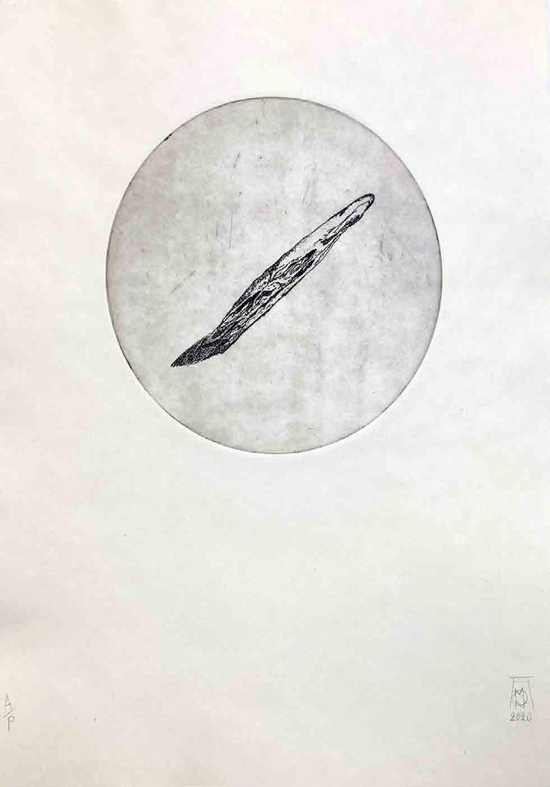 Mona Hoseinzadeh, Memento Mori, 2019
