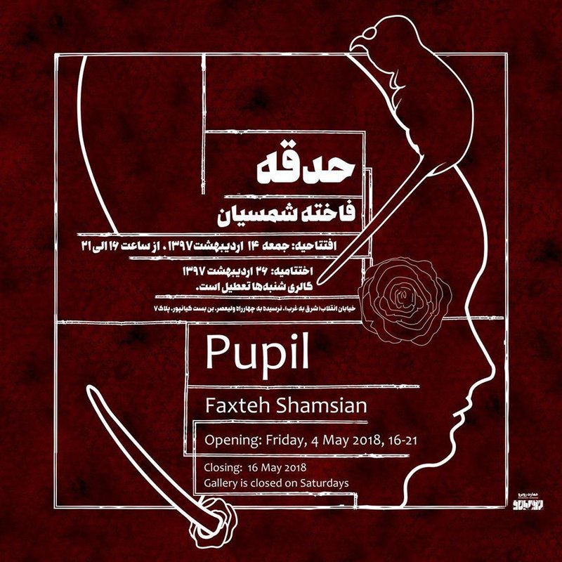 حدقه