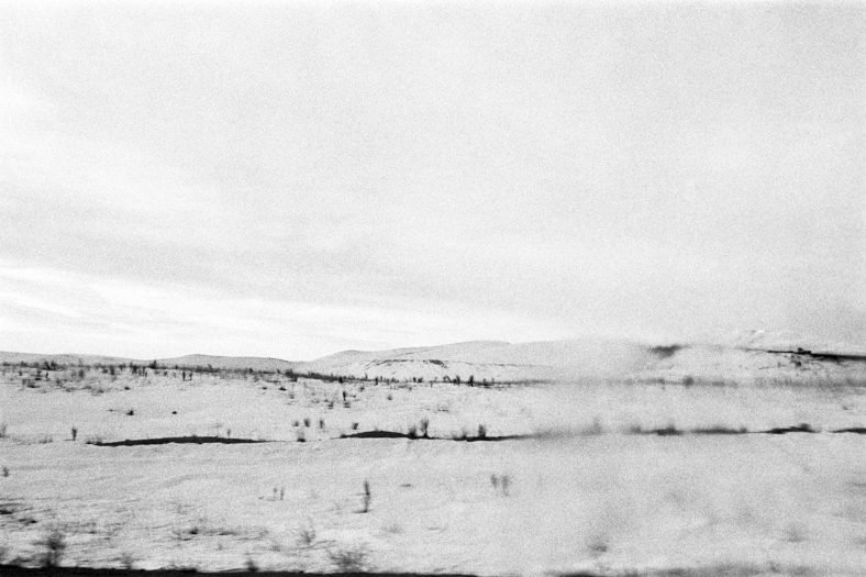 Tooraj Khamenehzadeh, Untitled