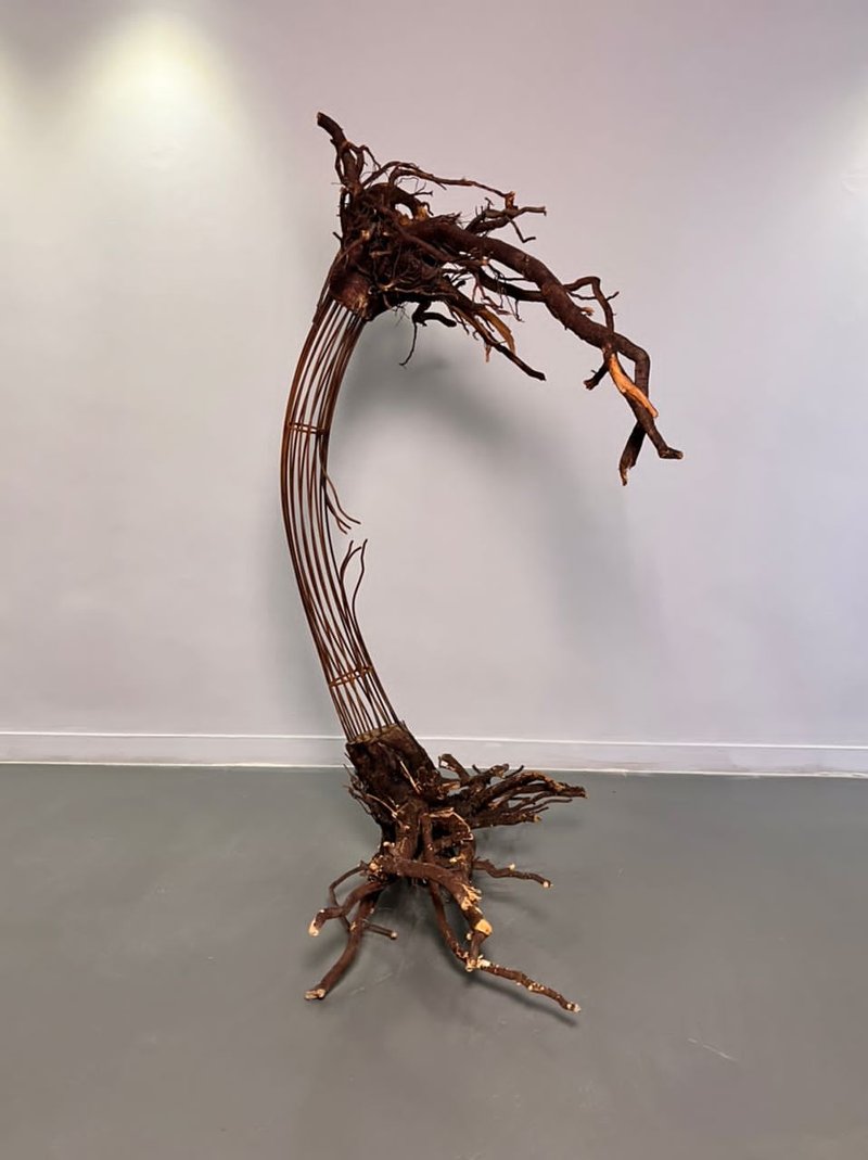 Peyman Bakhshi, Untitled