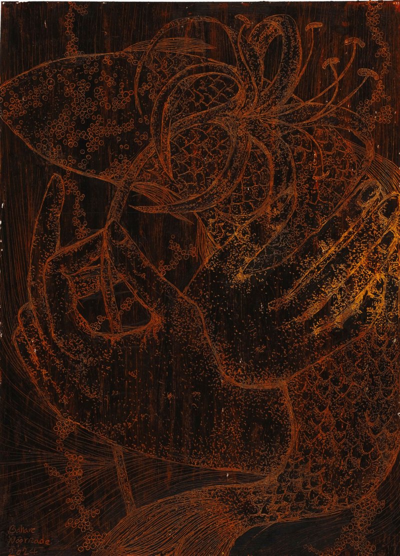 Bahare Noorizadeh, Untitled