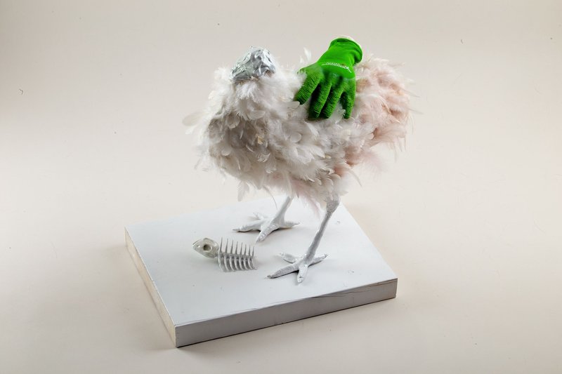Rana Dehghan, Untitled