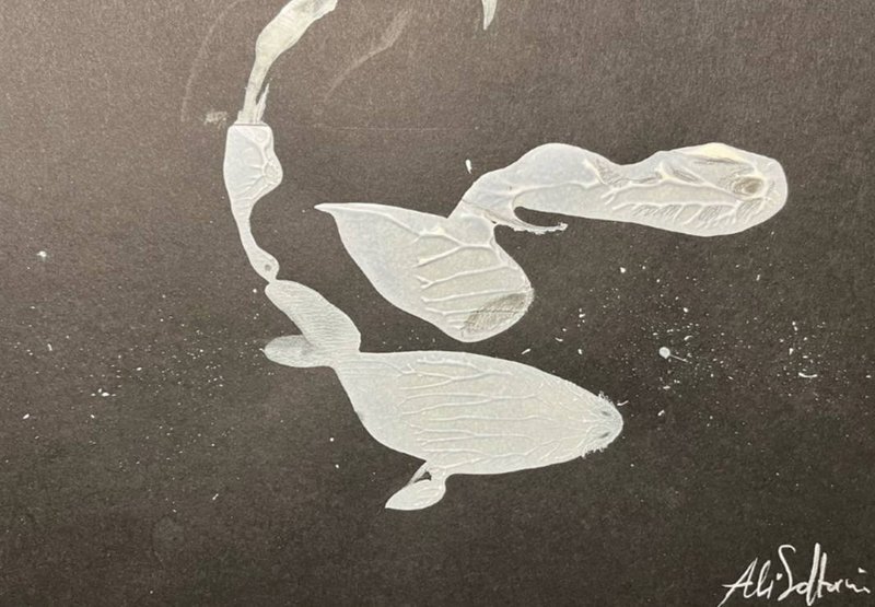 Ali Soltani, Untitled