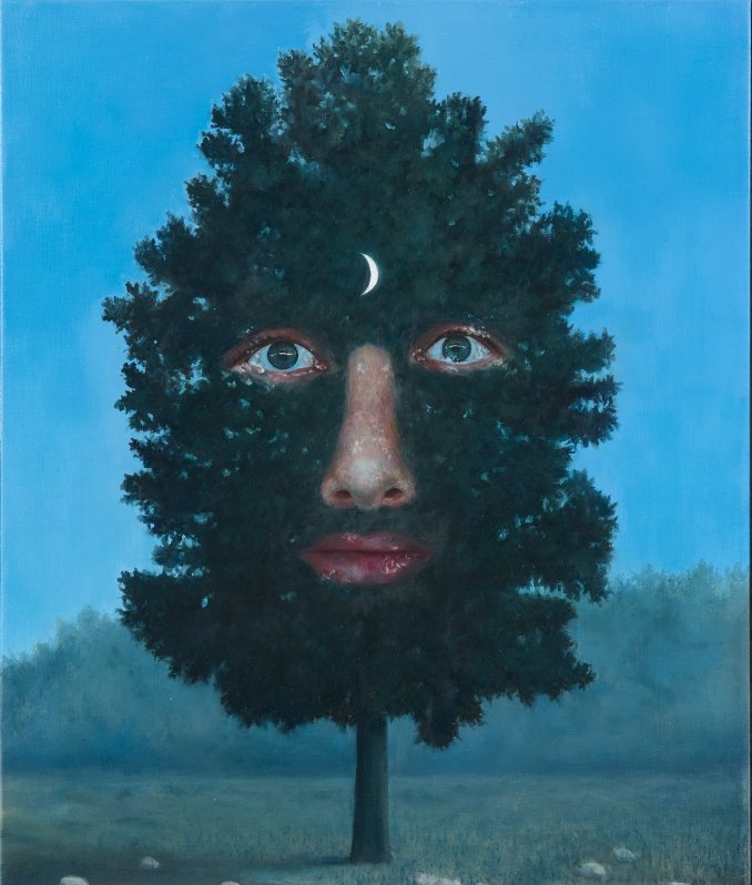Hadi Falapishi, Professional Painter in a Tree on the Sixteenth of September, 2024