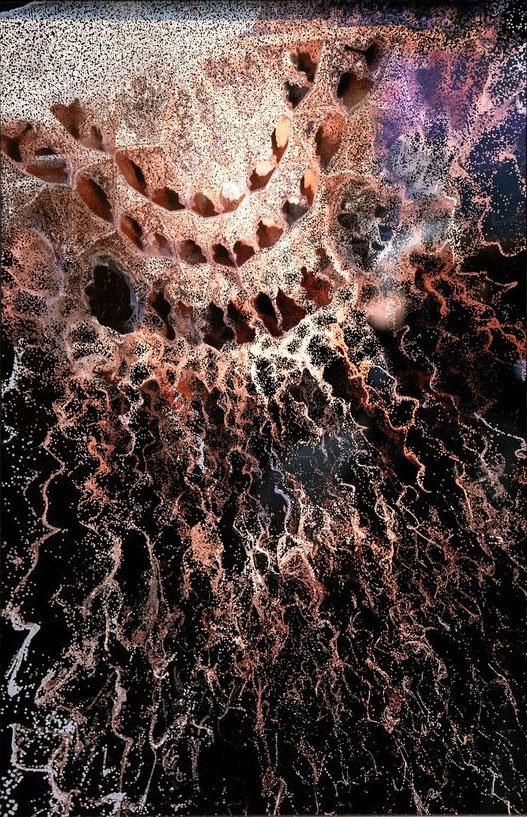 Ali Phi, Untitled