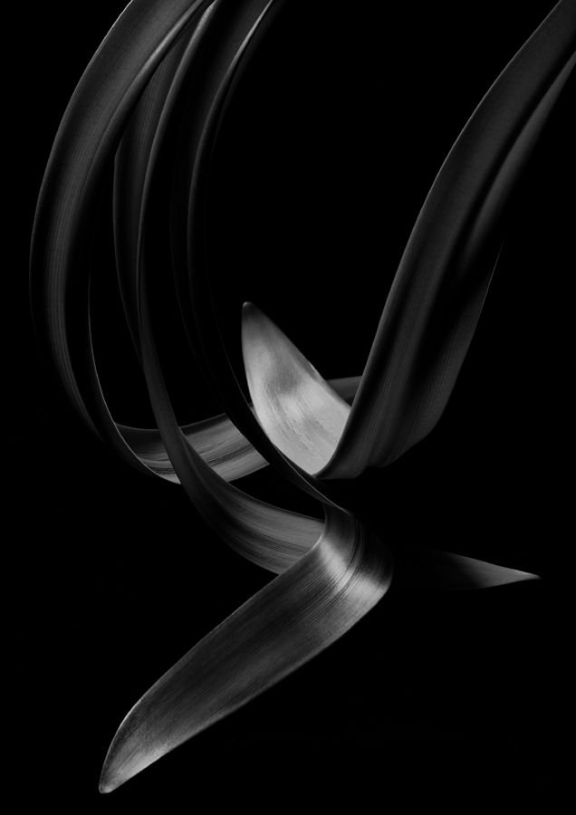 Kenro Izu, Untitled