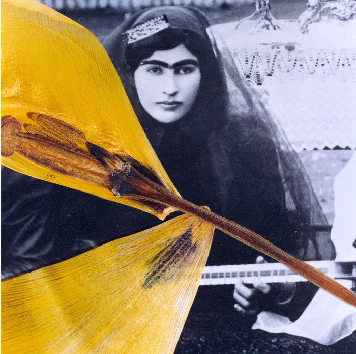بهمن جلالی، شماره 4، 1384