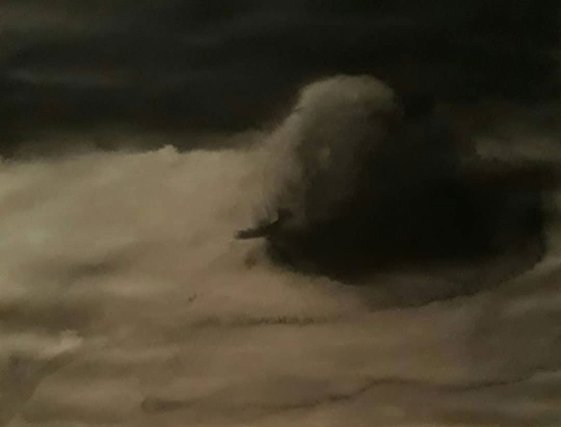 Hamidreza Andarz, Untitled , 2015