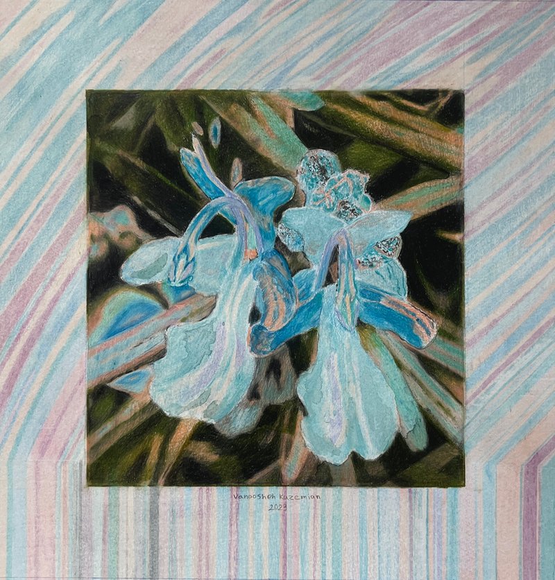 Wild Flowers
