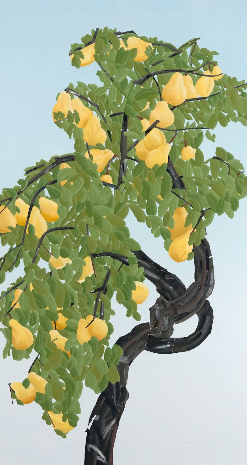 عسل پیروی، طغیان، 1405