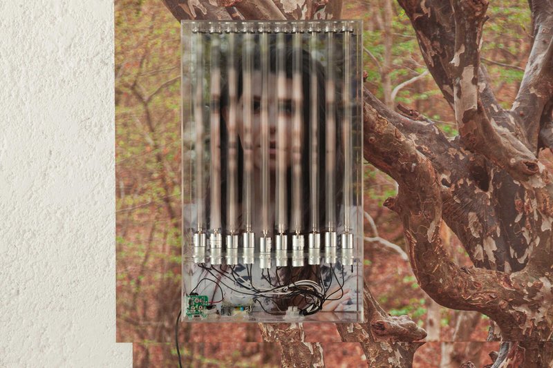 Arya Tabandehpoor, Physical Reflection, 2020