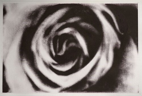 Shahin Esfandiari, Untitled, 2025